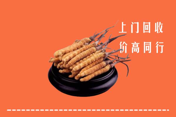 附近收购：龙华区冬虫夏草回收多少钱每克