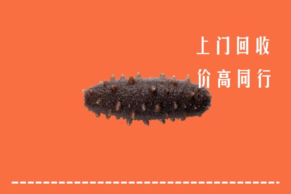 附近收购：龙华区回收海参