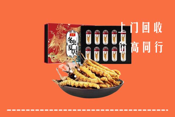 附近收购：龙华区回收虫草